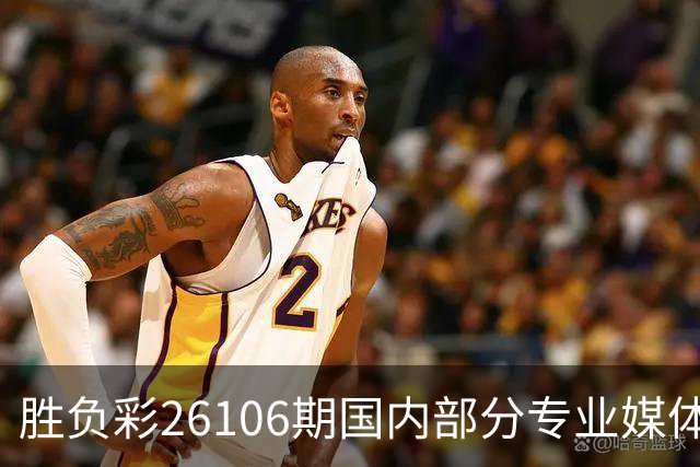 胜负彩26106期国内部分专业媒体复式推荐总汇